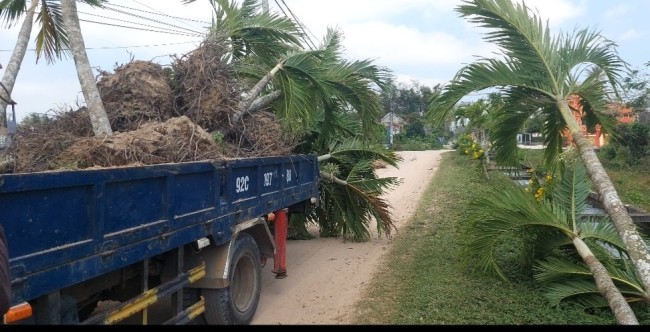 Tuổi trẻ Bình Nguyên Hưởng ứng ngày cao điểm chung tay xây dựng Nông thôn mới