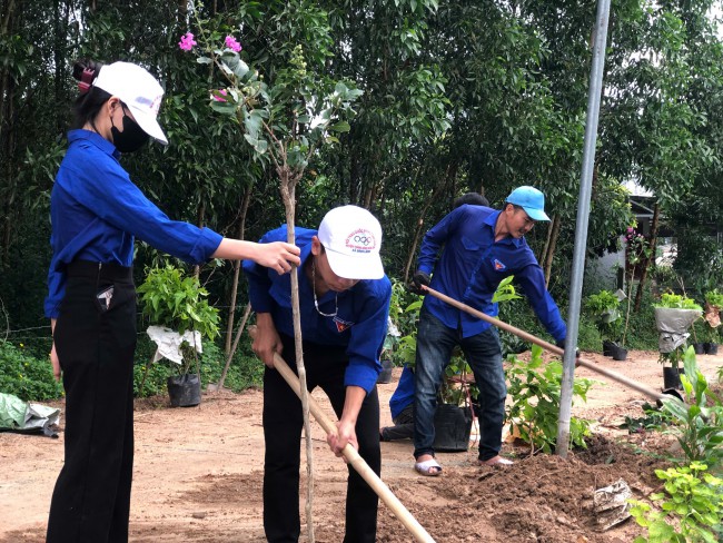 Trồng cây t4  1