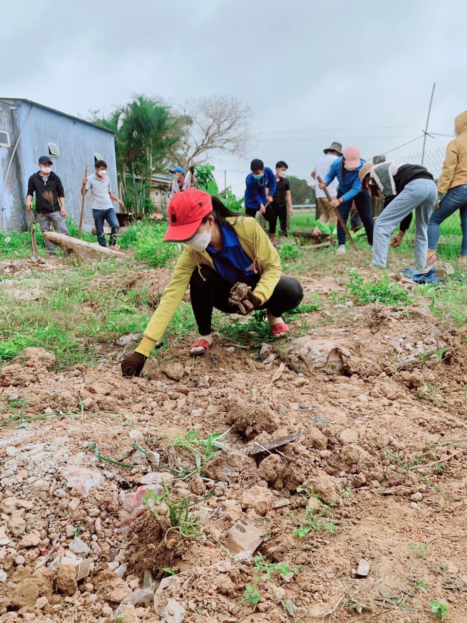 Bình Tú: Ra quân ngày chủ nhật xanh lần thứ I năm 2022