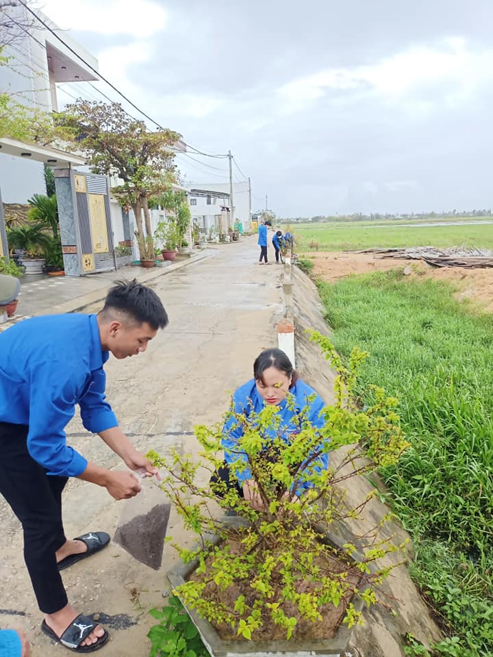 tuổi trẻ Bình Đào làm cỏ, bón phân, chăm sóc tuyến đường hoa giấy công trình thanh niên chào mừng đại hội Đoàn xã.