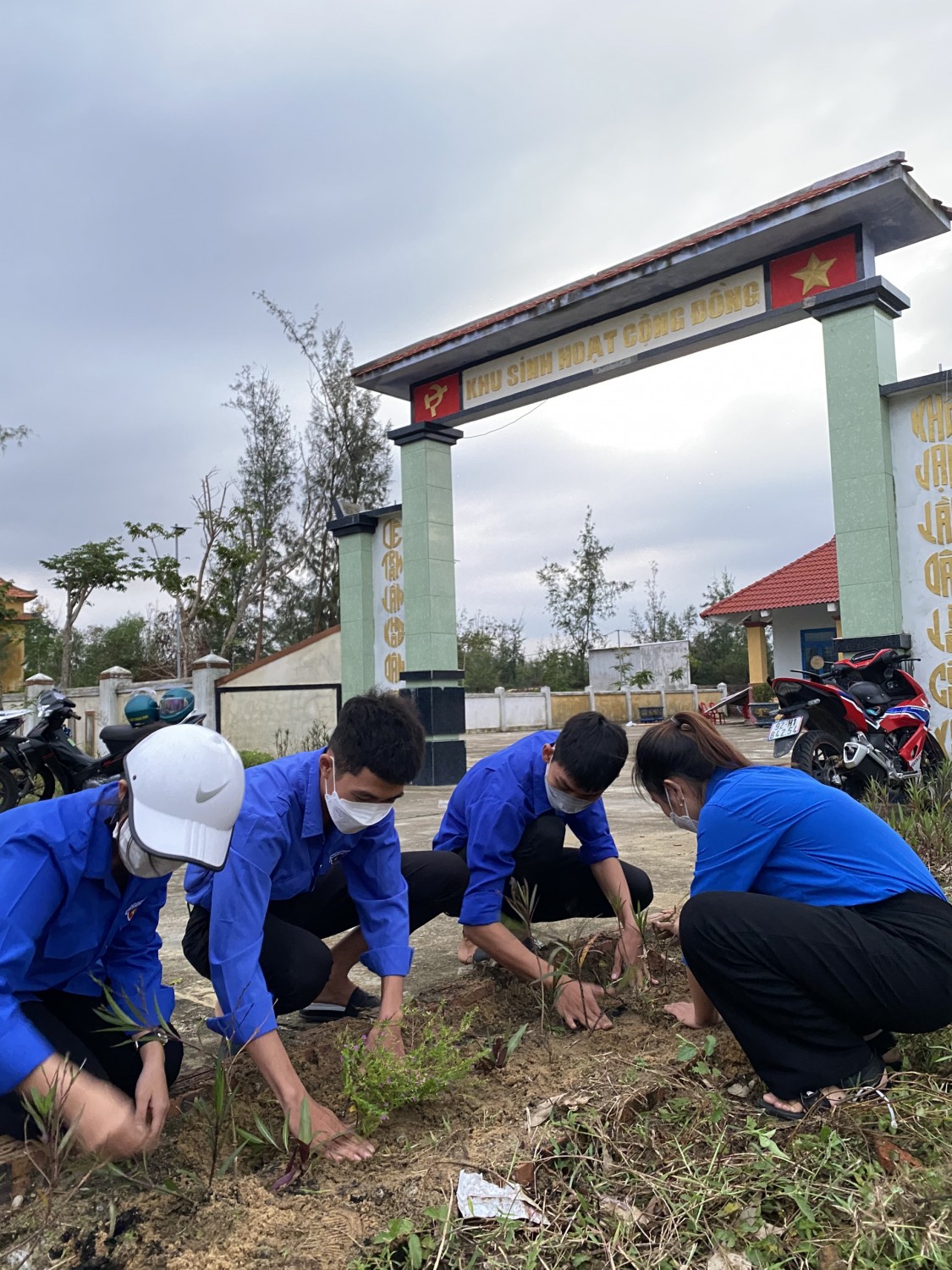 Tuổi trẻ Bình Hải ra quân trồng hoa khuôn viên và tuyến đường trước nhà văn hoá thôn An Trân