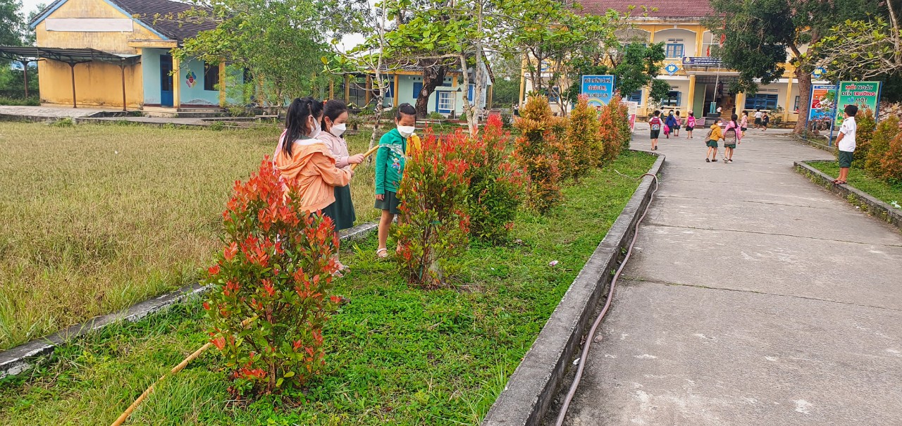 Liên đội Nguyễn Thành hoàn thành phong trào " Góp Một cây để có rừng"