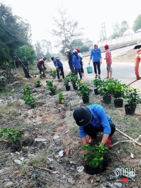 trong duong hoa 1