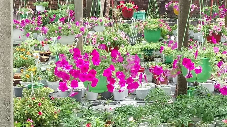 CHÀNG TRAI SỐNG VÌ CỘNG ĐỒNG