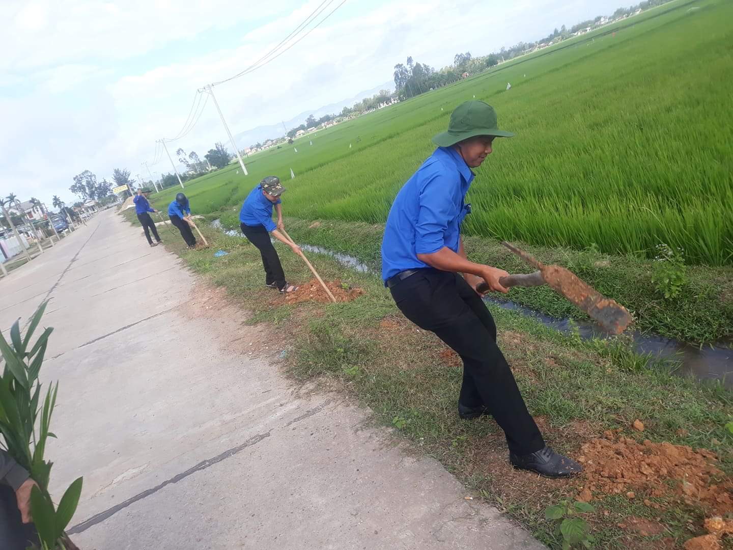 trồng cây xanh