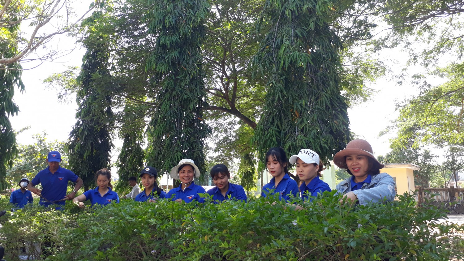 chu nhat xanh 31 5