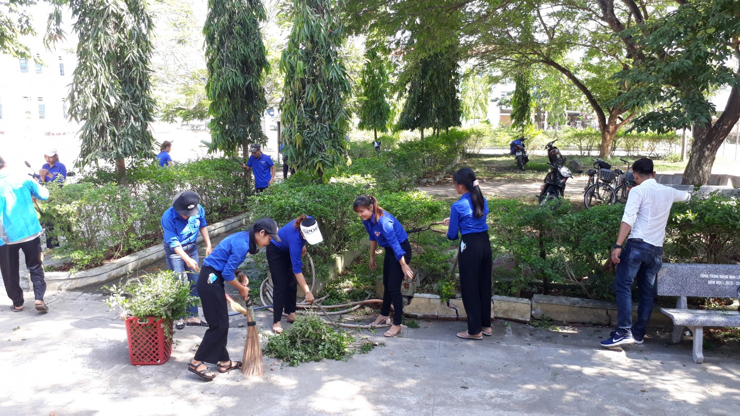 chu nhat xanh thang 31 5