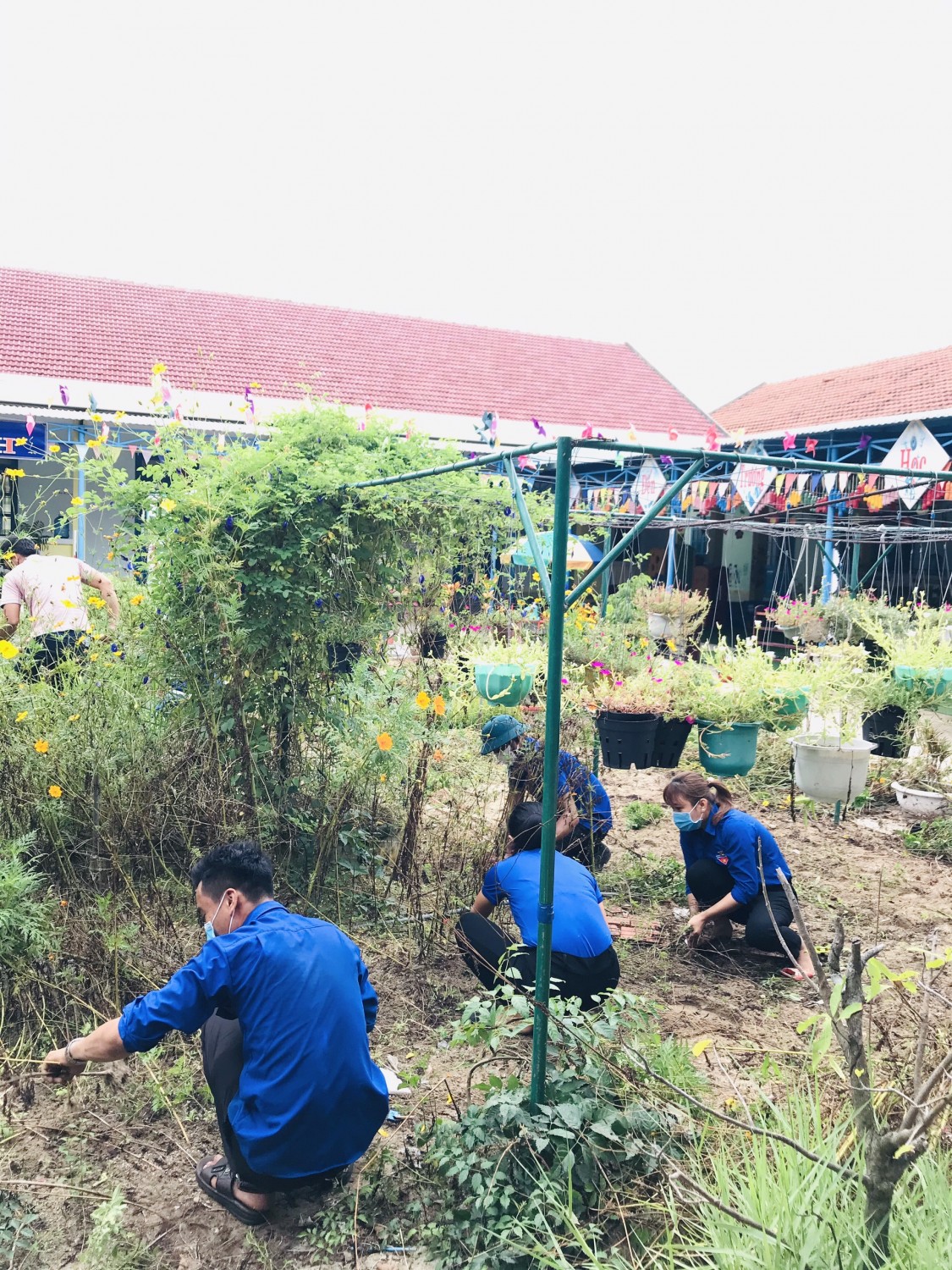 chu nhat xanh 30 8 1