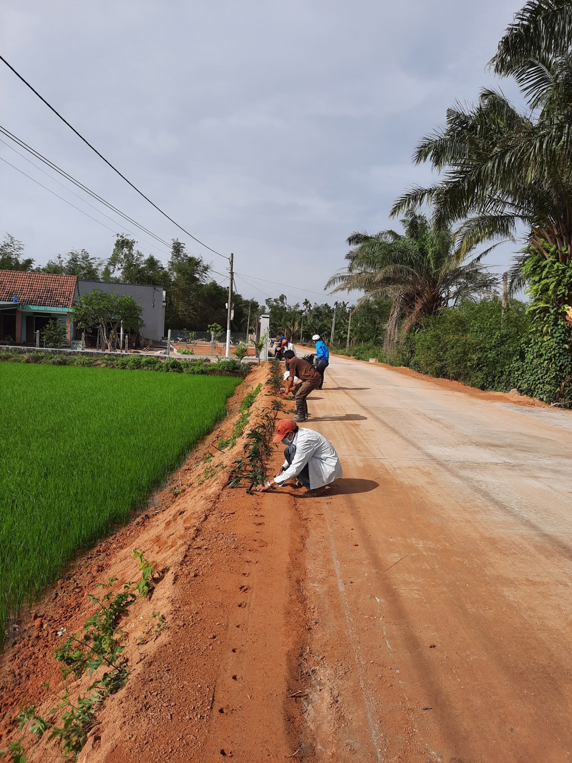 Hình ảnh ĐVTN và nhân dân trông hoa