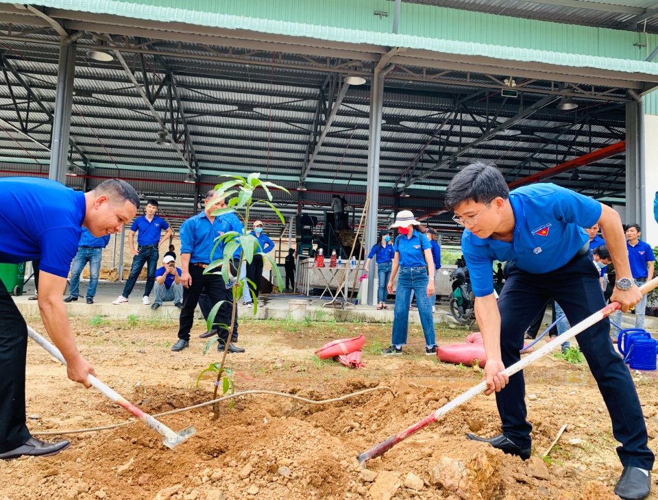 Trồng cây xanh tại Khu di tích Khu ủy khu V