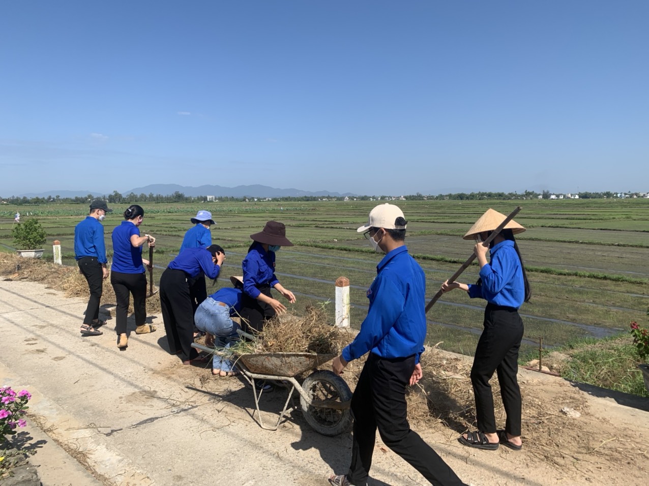Tuổi trẻ Bình Đào với hoạt động ngày chủ nhật xanh